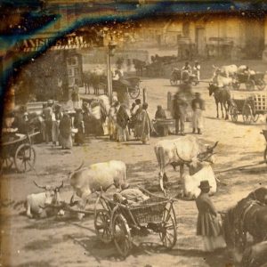 Ismeretlen fotográfus: Utcai jelenet Magyarországon, 1845 körül, dagerrotípia, negyed lemez, 8,1×10,7 cm, Collection Société française de photographie. A képet oldalhelyesen közöljük.