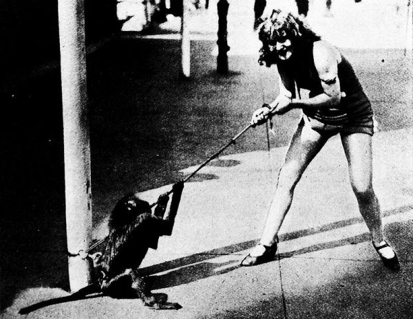 Press Photo New Service: Lois Wild (egyes források szerint: Wilde) a majmával játszik – New York, Luna Park, [Der Querschnitt], 1926/6., a 464–465. oldalak közötti műmelléklet, alsó kép
