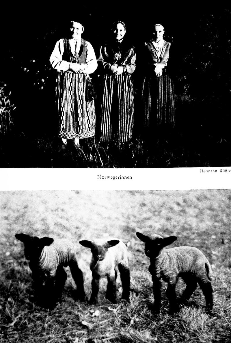Hermann Raebler: Norvég nők; International Graphic Press: Bárányok [Der Querschnitt], 1932/. ápr.) 276. oldal utáni első műmelléklet